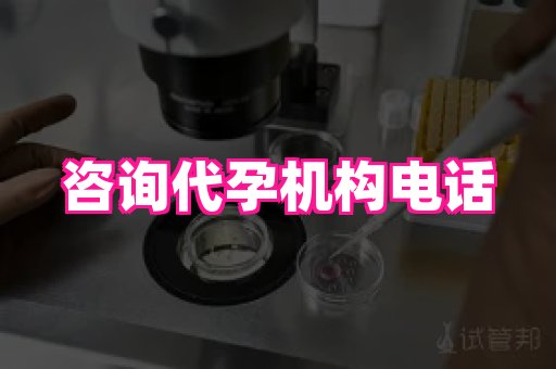 哈尔滨助孕网 4